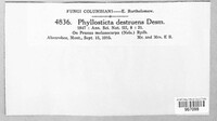 Image Associated With the Occurence